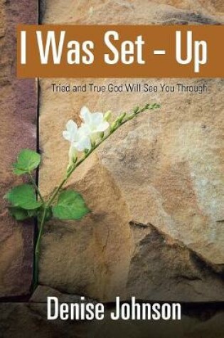 Cover of I Was Set - Up