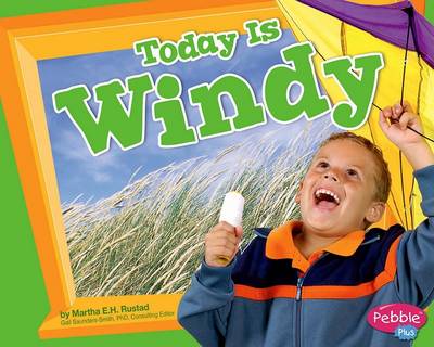 Book cover for Today Is Windy