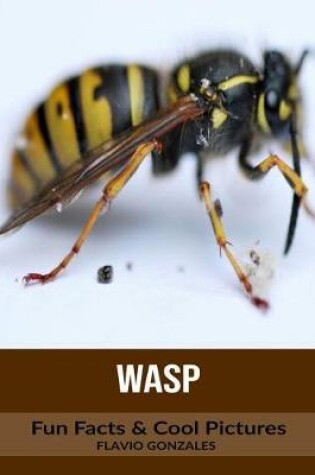 Cover of Wasp