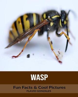 Book cover for Wasp