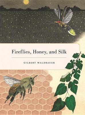 Book cover for Fireflies, Honey, and Silk