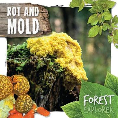 Book cover for Rot and Mold