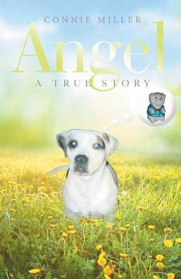 Book cover for Angel