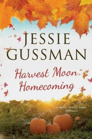 Cover of Harvest Moon Homecoming