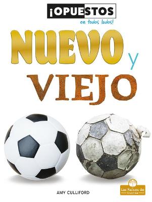 Book cover for Nuevo Y Viejo (New and Old)