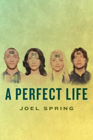 Cover of A Perfect Life