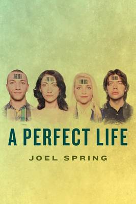 Book cover for A Perfect Life