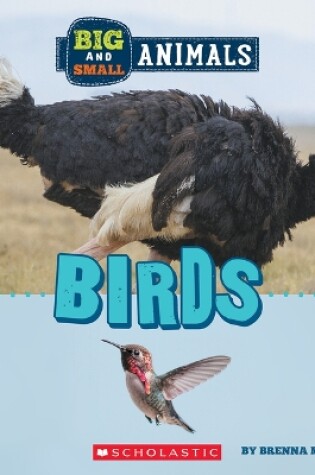 Cover of Birds (Wild World: Big and Small Animals)