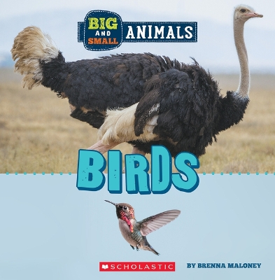 Cover of Birds (Wild World: Big and Small Animals)