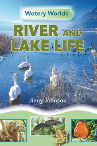 Cover of River and Lake Life