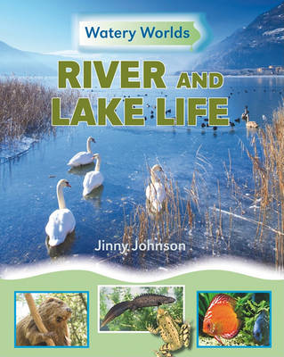 Cover of River and Lake Life