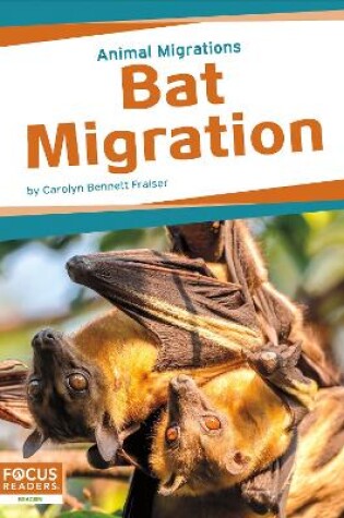 Cover of Bat Migration