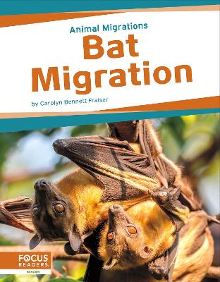 Book cover for Bat Migration