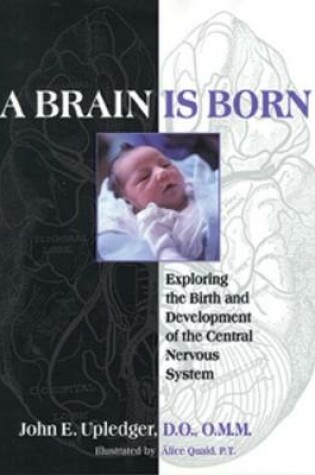 Cover of A Brain is Born