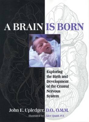 Cover of A Brain is Born