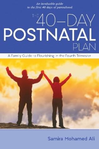 Cover of The 40-Day Postnatal Plan