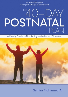 Cover of The 40-Day Postnatal Plan