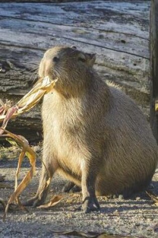 Cover of Feeding Time for the Capybara Journal