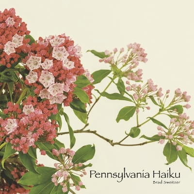 Book cover for Pennsylvania Haiku