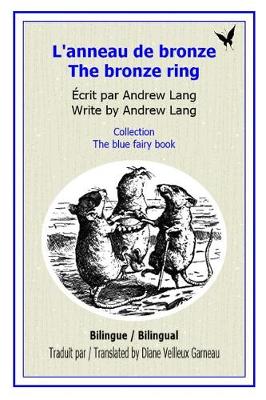Book cover for L'anneau de bronze