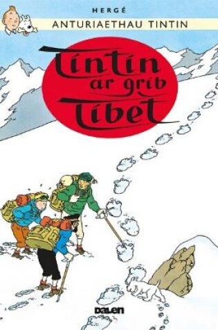 Cover of Tintin: Tintin ar Grib Tibet