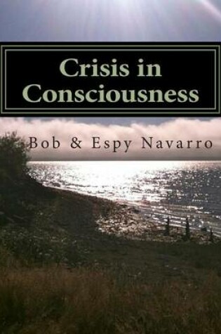 Cover of Crisis in Consciousness