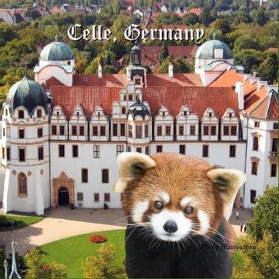 Book cover for Celle, Germany