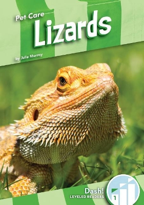 Book cover for Lizards
