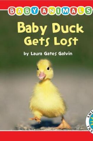 Cover of Baby Duck Gets Lost