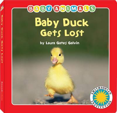 Book cover for Baby Duck Gets Lost