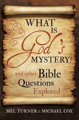 Cover of What is God's Mystery?