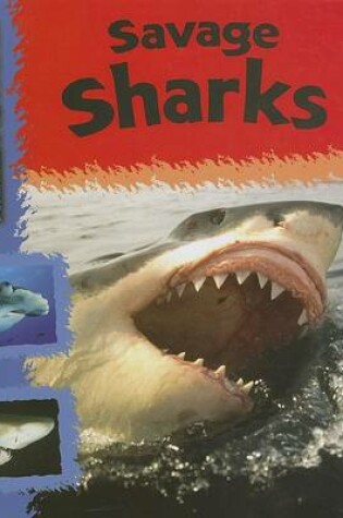 Cover of Savage Sharks