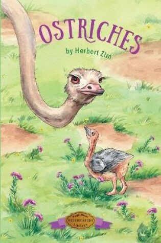 Cover of Ostriches