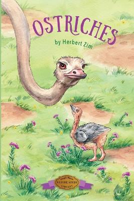 Book cover for Ostriches