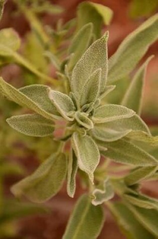 Cover of Sage Spice Leaves in the Garden Journal