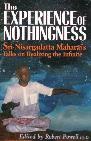 Book cover for The Experience of Nothingness