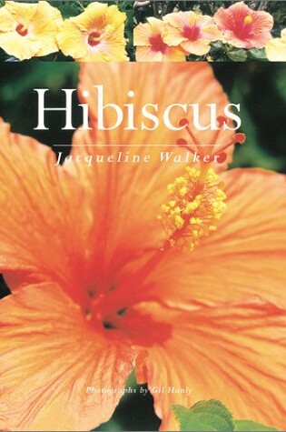 Cover of Hibiscus