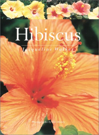 Book cover for Hibiscus