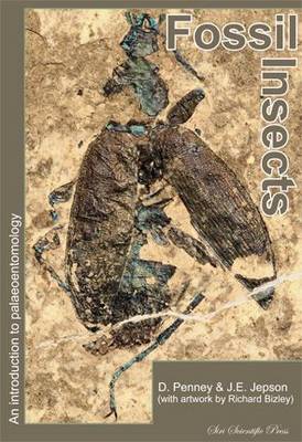Book cover for Fossil Insects
