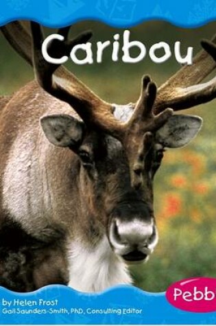 Cover of Caribou