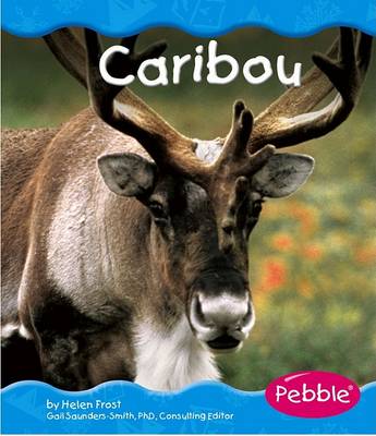 Cover of Caribou