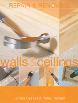 Book cover for Walls & Ceilings