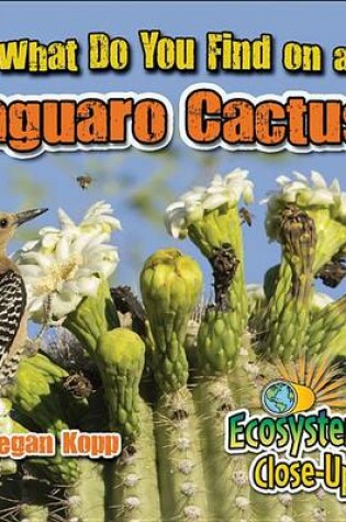 Cover of What Do You Find on a Saguaro Cactus?