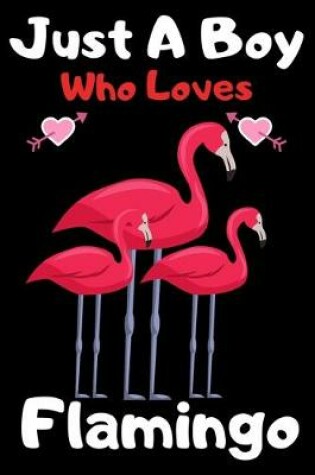 Cover of Just a boy who loves flamingo