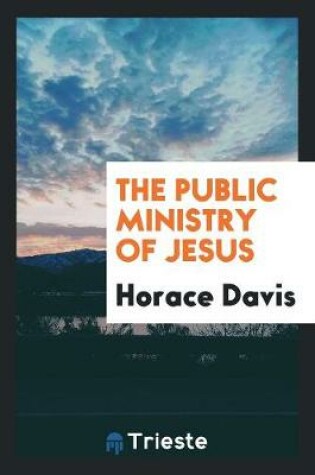 Cover of The Public Ministry of Jesus