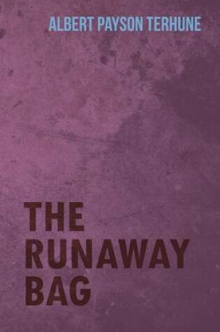 Cover of The Runaway Bag