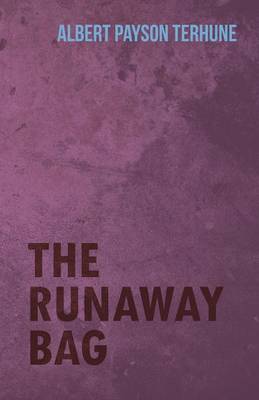 Book cover for The Runaway Bag