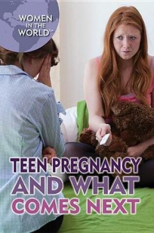 Cover of Teen Pregnancy and What Comes Next