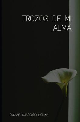 Book cover for Trozos de mi alma