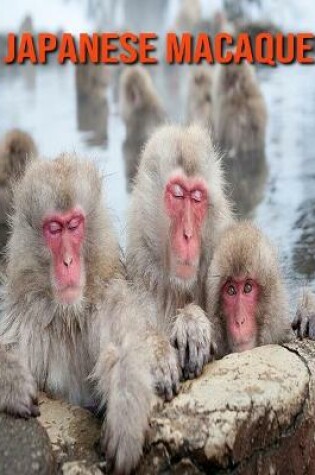 Cover of Japanese Macaque